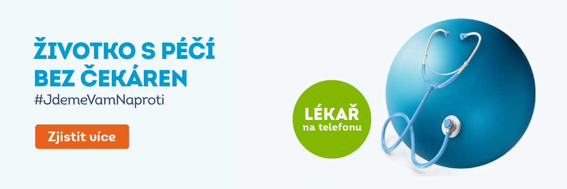 Banner marketingové kampaně životního pojištění pro desktop